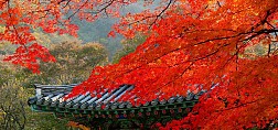 Q Seoul - Seoul - Đảo Nami - Everland - Seoul - Shopping - Namsan: Khám phá vẻ đẹp tuyệt mỹ hòa mình vào không gian mơ màng
