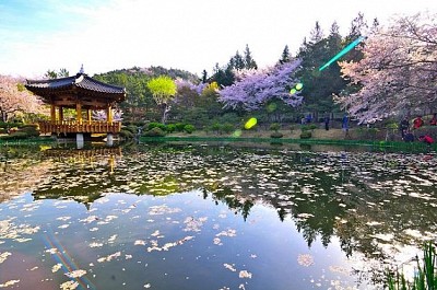 Du Lịch Hàn Quốc Thời Điểm Nào Đẹp Nhất? Du Lịch Hàn Quốc Thời Điểm Nào Đẹp Nhất?