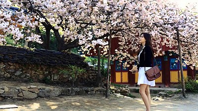 Du Lịch Hàn Quốc Mùa Nào Đẹp Nhất? Du Lịch Hàn Quốc Mùa Nào Đẹp Nhất?