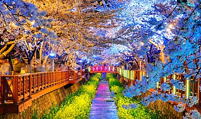 Những cảnh đẹp xứ Hàn khiền bạn không thể bỏ qua Những cảnh đẹp xứ Hàn khiền bạn không thể bỏ qua