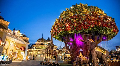 Sao phải đến công viên Everland khi du lịch Hàn Quốc? Sao phải đến công viên Everland khi du lịch Hàn Quốc?