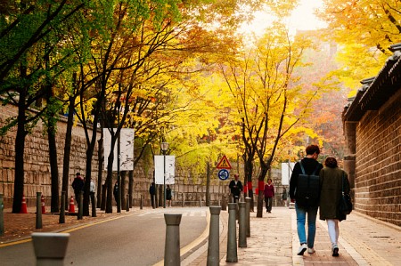 Con đường lãng mạn nhưng dính lời nguyền ở Hàn Quốc