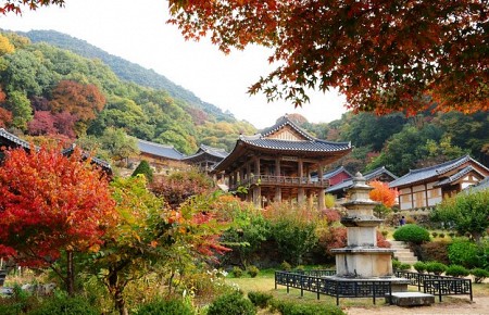 Hàn Quốc - Đất nước sôi động và phong cảnh tươi đẹp
