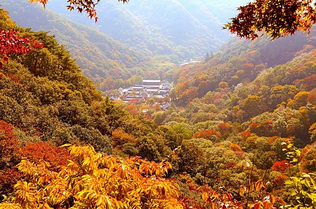 Ngắm Mùa Thu Hàn Quốc Ở Năm Ngọn Núi Đẹp Đến Nao Lòng