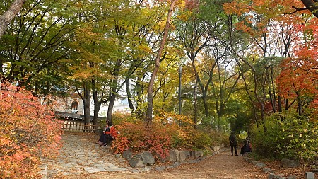 Thời Tiết Hàn Quốc Tháng 11