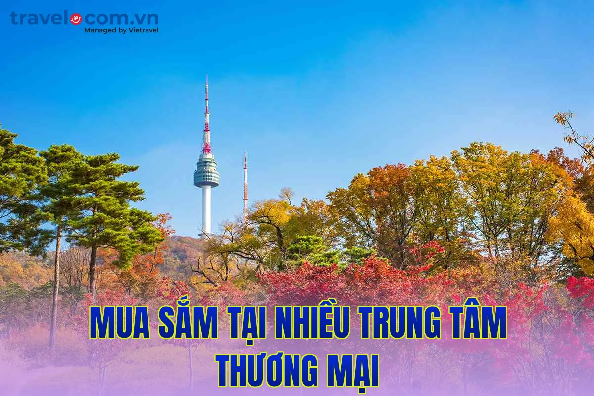 Mua sắm tại nhiều trung tâm thương mại