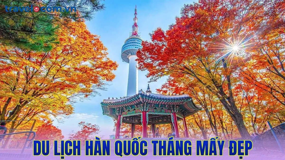 Du lịch Hàn Quốc tháng mấy đẹp