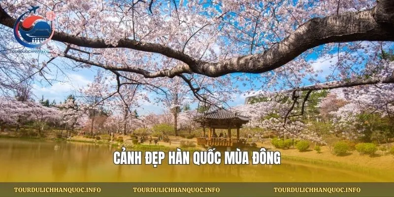 Cảnh đẹp Hàn Quốc mùa đông