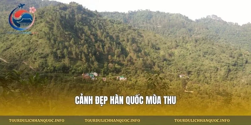 Cảnh đẹp Hàn Quốc mùa thu
