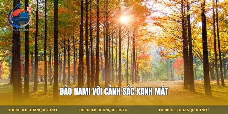 đảo Nami với cảnh sắc xanh mát