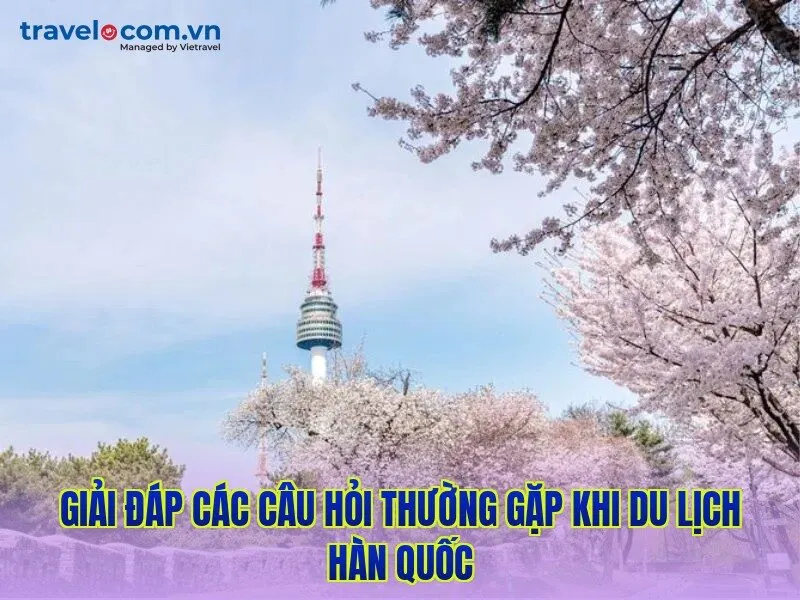 Giải đáp các câu hỏi thường gặp khi du lịch Hàn Quốc