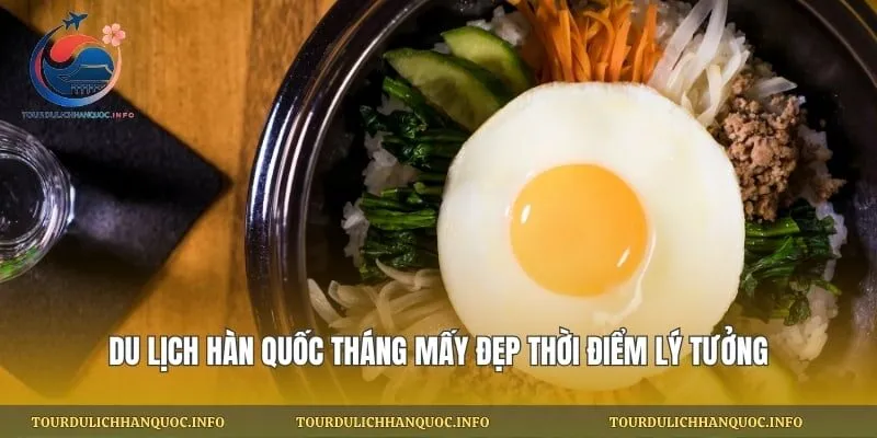 Du Lịch Hàn Quốc Tháng Mấy Đẹp Thời Điểm Lý Tưởng