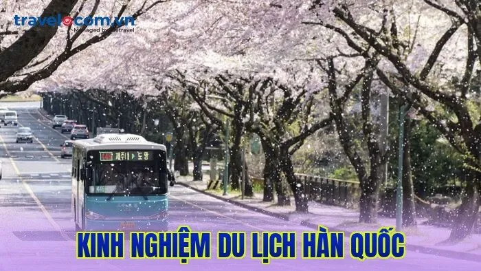 Kinh nghiệm du lịch Hàn Quốc