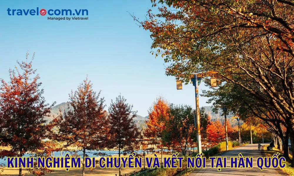 Kinh nghiệm di chuyển và kết nối tại Hàn Quốc