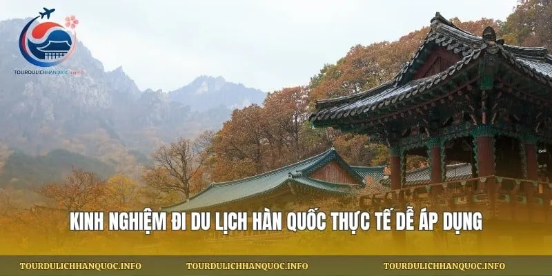 Kinh Nghiệm Đi Du Lịch Hàn Quốc Thực Tế Dễ Áp Dụng