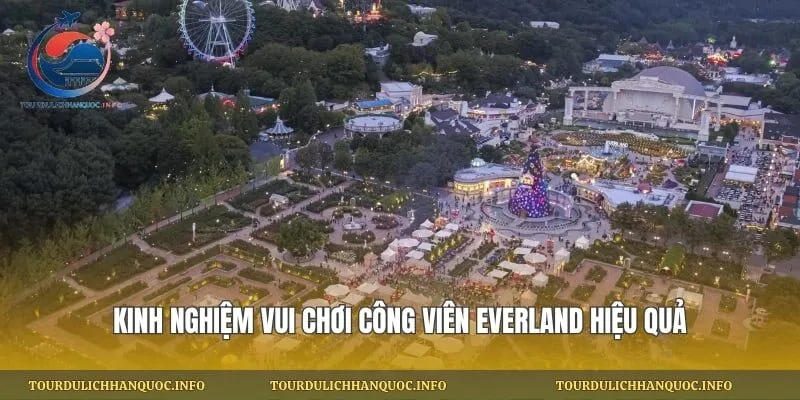 kinh nghiệm vui chơi công viên everland hiệu quả