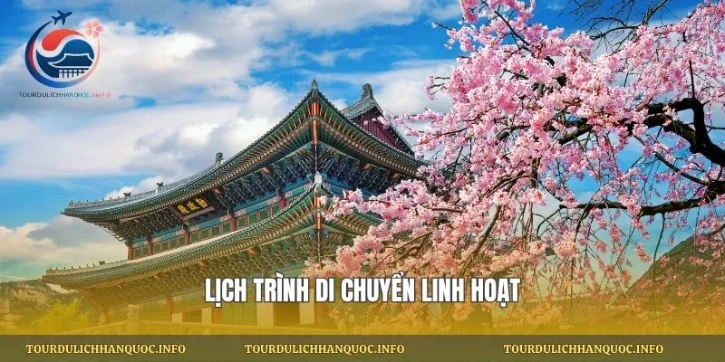 lịch trình di chuyển linh hoạt
