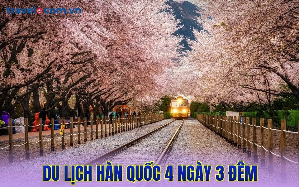 Du lịch Hàn Quốc 4 ngày 3 đêm