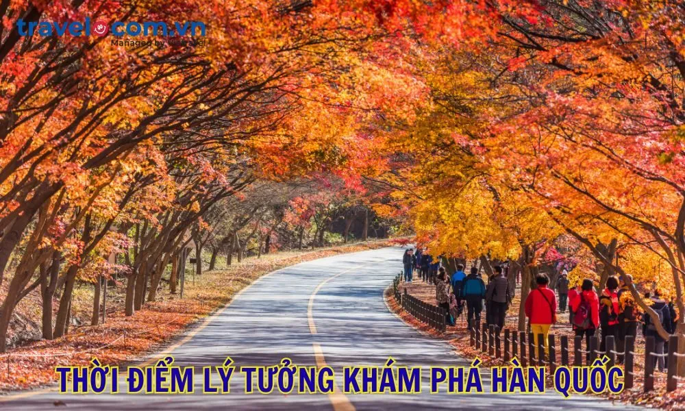 Thời điểm lý tưởng khám phá Hàn Quốc