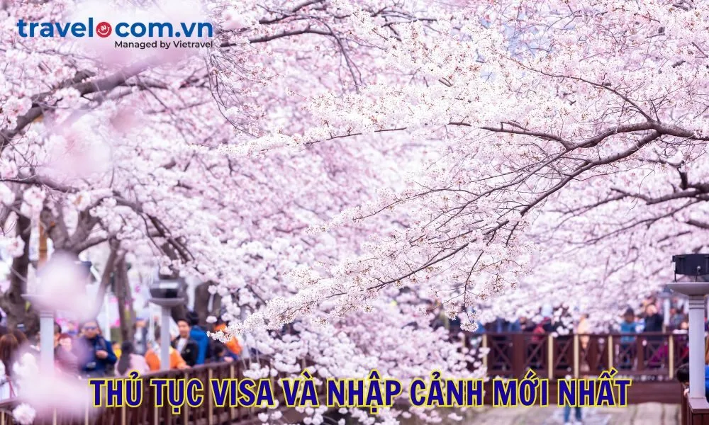 Thủ tục visa và nhập cảnh mới nhất