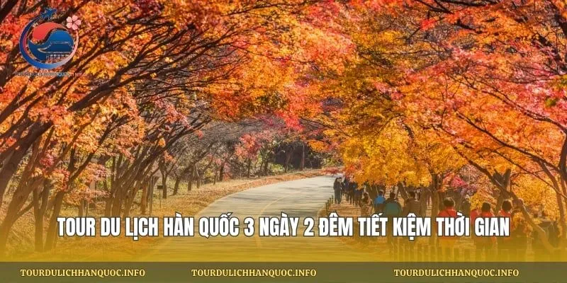 Tour Du Lịch Hàn Quốc 3 Ngày 2 Đêm Tiết Kiệm Thời Gian