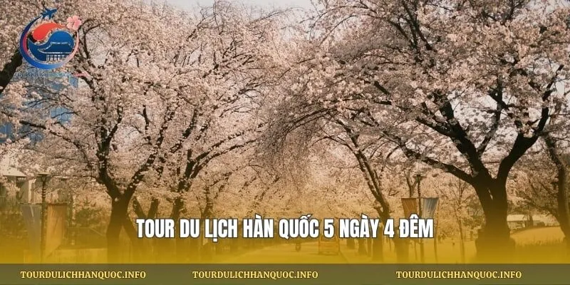Tour du lịch Hàn Quốc 5 ngày 4 đêm