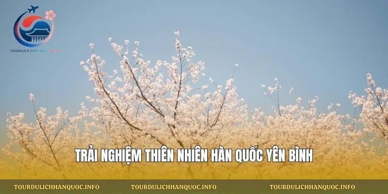 Trải nghiệm thiên nhiên Hàn Quốc yên bình