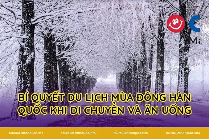 Bí quyết du lịch mùa đông Hàn Quốc khi di chuyển và ăn uống