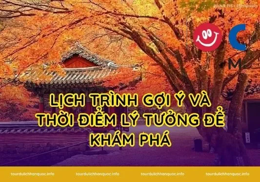 Lịch trình gợi ý và thời điểm lý tưởng để khám phá